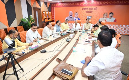 पहले जिलों में फिर प्रदेश में कार्यकारिणी की घोषणा करेगी भाजपा,हर जिले में दो-दो वरिष्ठ नेता कार्यकारिणी तैयार करने में करेंगे मदद