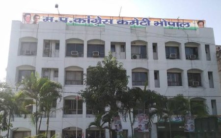 कांग्रेस के संगठन ‘सृजन’ पर लगा पलीता,सीनियरों के दबाव के आगे पटवारी का विजन 28 रहा फेल