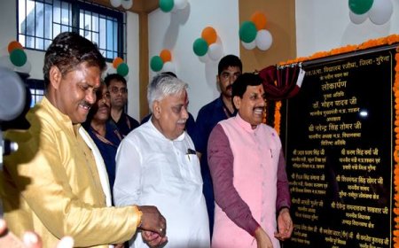 हर किसान होगा आत्मनिर्भर,20 लाख किसानों को सोलर पावर पंप देगी सरकार