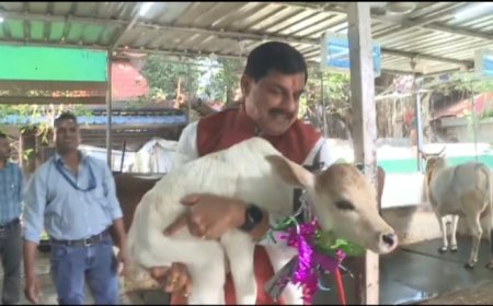 सीएम हाउस में 'कमला' का हुआ जन्म,सीएम ने गोदी में उठा कर किया दुलार