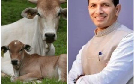 ‘गाय नहीं कटने दूंगा मांस नहीं बिकने दूंगा’ कांग्रेस अध्यक्ष जीतू पटवारी ने भाजपा सरकार को दी चुनौती
