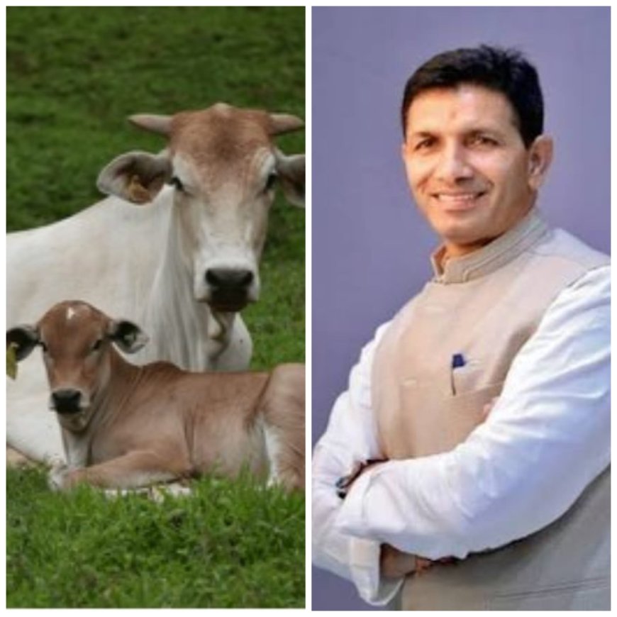 ‘गाय नहीं कटने दूंगा मांस नहीं बिकने दूंगा’ कांग्रेस अध्यक्ष जीतू पटवारी ने भाजपा सरकार को दी चुनौती