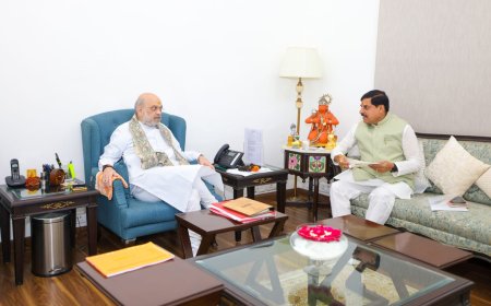 अमित शाह से फिर मिले सीएम लेकिन नहीं बनी बात,निगम-मंडलों की नियुक्ति को लेकर हुई चर्चा