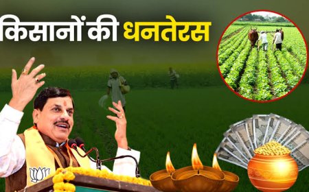 किसानों की होगी 'धन तेरस' सीएम मोहन यादव दिन भर किसानों के साथ मनाएंगे त्योहार