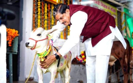 'गौ-मंदिर' के रूप में विकसित होंगी मप्र की गौ-शालाएं,सीएम मोहन यादव ने किया ऐलान