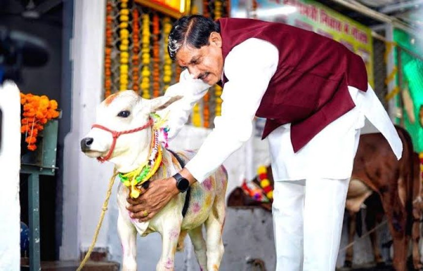 'गौ-मंदिर' के रूप में विकसित होंगी मप्र की गौ-शालाएं,सीएम मोहन यादव ने किया ऐलान
