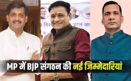 संघ के तृदेव भाजपा के संगठन में लगाएंगे छन्नी मोर्चा और प्रकोष्ठ में कांग्रेस से आए कार्यकर्ताओं की होगी ने इंट्री