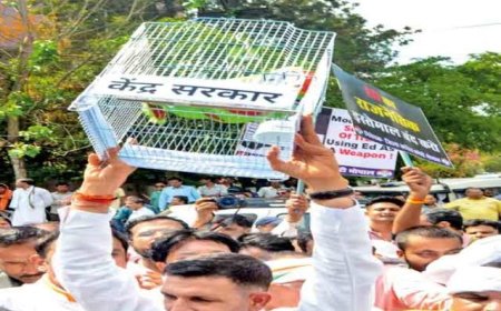 पिटी हुई 'फिल्म' को दोबारा रिलीज कर कांग्रेस नेता टमाटर के बजाय 'डंडे' खाने को हो रहे मजबूर