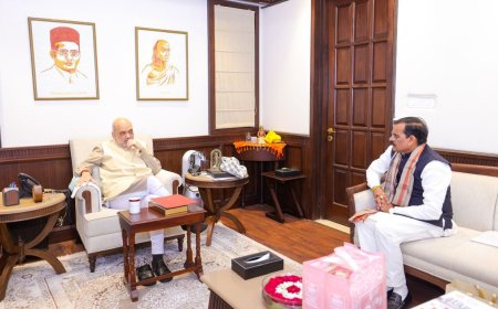 वीडी और अमित शाह की मुलाकात सामान्य तो नहीं उससे कहीं अधिक है जिसके नतीजे भी जनता के सामने जल्द होंगे