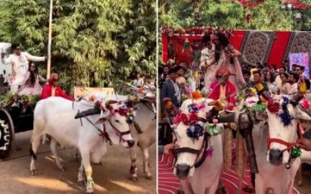 उज्जैन में 22 जोड़ों के विवाह में 'सरकार' बनेगी बारात संगठन संभालेगा व्यवस्था