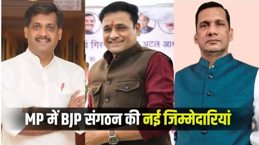 संघ के तृदेव भाजपा के संगठन में लगाएंगे छन्नी मोर्चा और प्रकोष्ठ में कांग्रेस से आए कार्यकर्ताओं की होगी ने इंट्री