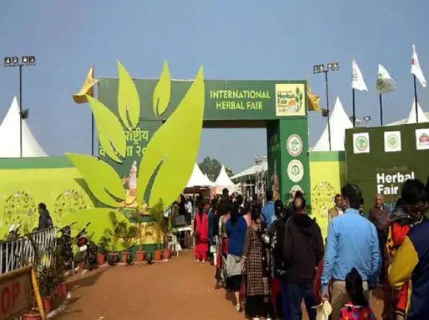 अंतर्राष्ट्रीय वन मेले में आयुर्वेदिक औषधियों के साथ मिलेगा 'गोंडी' व्यंजन का स्वाद