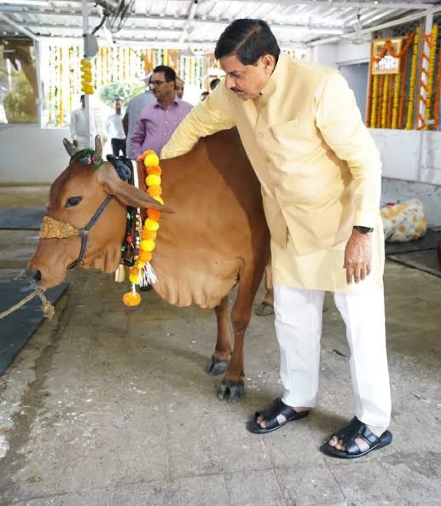 'हिरण्यगर्भा' अभियान प्रदेश के पशुपालकों के जीवन में लाएगा बड़ा बदलाव बहेगी दूध की धारा