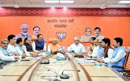 भाजपा प्रदेश कार्यसमिति की टीम तैयार प्रशिक्षण महा अभियान समाप्त होते ही होगी घोषणा