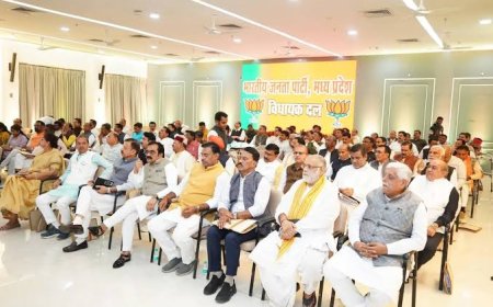 विधायकों के मंसूबों पर फिरा पानी नहीं बढ़ेगा वेतन और भत्ता क्षेत्र की विकास निधि वृद्धि का फैसला भी टला