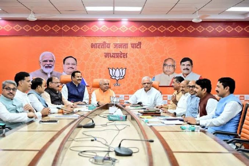 भाजपा प्रदेश कार्यसमिति की टीम तैयार प्रशिक्षण महा अभियान समाप्त होते ही होगी घोषणा
