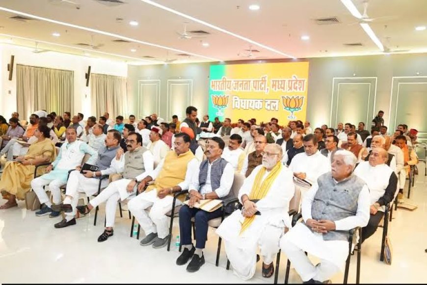 विधायकों के मंसूबों पर फिरा पानी नहीं बढ़ेगा वेतन और भत्ता क्षेत्र की विकास निधि वृद्धि का फैसला भी टला