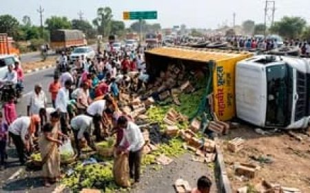 फ्री का अंगूर लूटने की ऐसी होड़ मची जिसके लिए सामान्य क्या और VVIP क्या जिसने देखा उसी ने लूटा