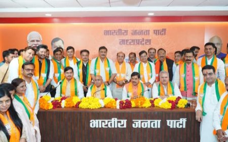 सरकार और संगठन के 'सुरक्षा कवच' का काम करेगी बीजेपी मीडिया विभाग की टीम पहली बार जंबो टीम का हुआ परिचय