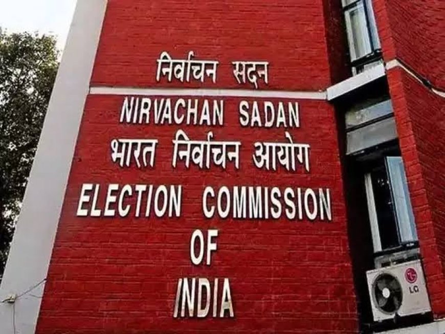निर्वाचन आयोग के हाथ में दतिया का भविष्य तारीख का इंतजार 'संकट मोचक' पर सबकी नजर