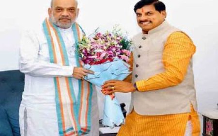 मंत्रिमंडल विस्तार से पहले सभी वरिष्ठ नेताओं से मुलाकात कर रहे सीएम मोहन यादव एक दर्जन मंत्रियों की छुट्टी तयं