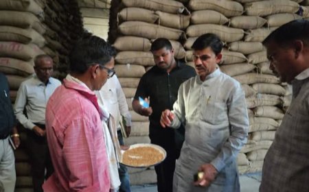 पटवारी के वेयरहाउस से निकले दाने सीएम की 'जमीन पर गिरे' राजनीति की ऐसी फसल उगी जिसे साफ करने में सरकार और संगठन के छूट रहे पसीने