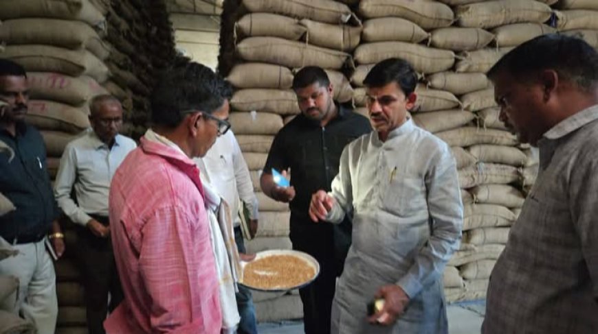 पटवारी के वेयरहाउस से निकले दाने सीएम की 'जमीन पर गिरे' राजनीति की ऐसी फसल उगी जिसे साफ करने में सरकार और संगठन के छूट रहे पसीने