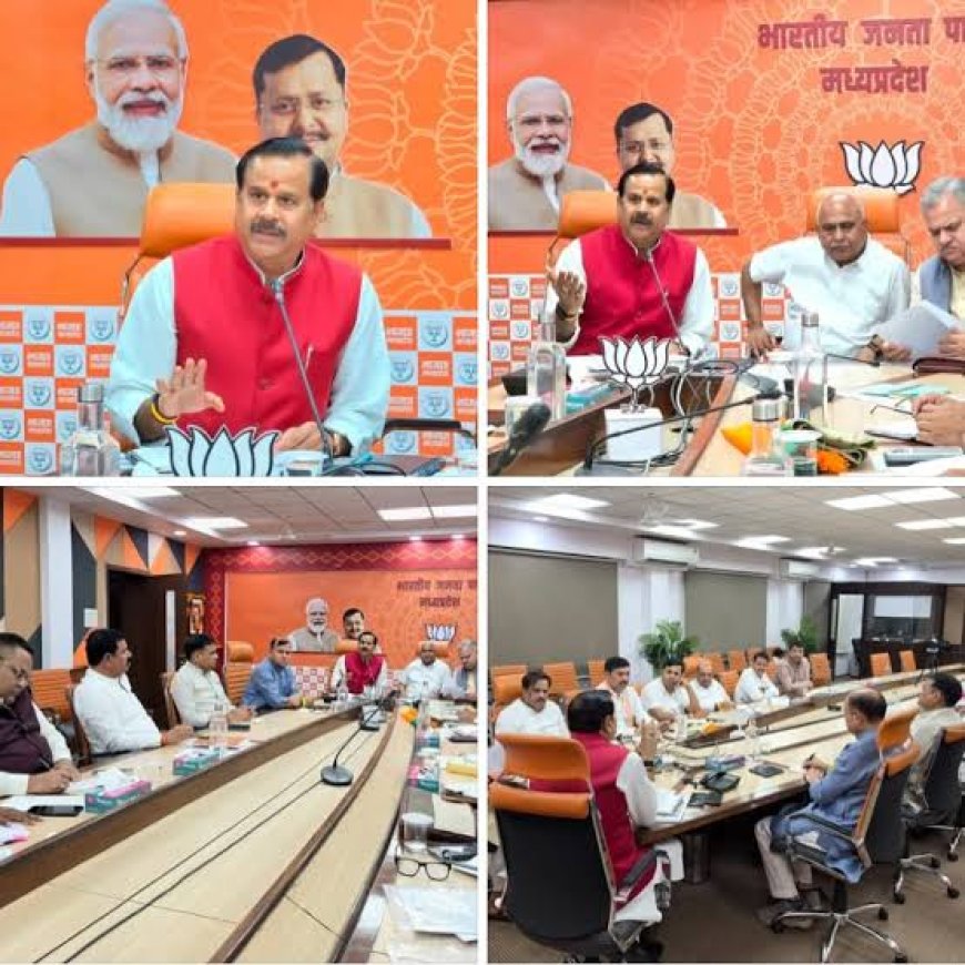दतिया उप चुनाव के लिए भाजपा पदाधिकारियों ने किया मंथन दिल्ली भेजा गया नाम पूर्व गृह मंत्री के नाम पर मुहर लगना लगभग तय