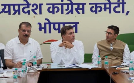 दतिया की तरह क्लस्टर और बूथ प्रबंधन का माडल नगरीय निकाय चुनाव में अपनाएगी कांग्रेस रीवा में राहुल गांधी की होगी सभा
