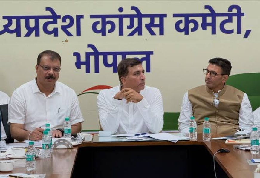 दतिया की तरह क्लस्टर और बूथ प्रबंधन का माडल नगरीय निकाय चुनाव में अपनाएगी कांग्रेस रीवा में राहुल गांधी की होगी सभा
